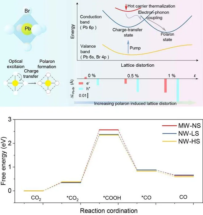 How Strain Tuning Boosts Performance: Slower Decay & Lower Barriers