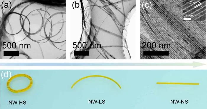 Strain-Engineered Perovskite Nanowires