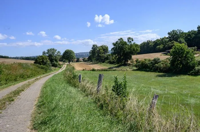 Cultivated landscape structured at a small-scale, featuring rows of trees, grass strips and fallow strips along the fence posts.