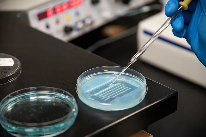 Zebrafish experiemnt
