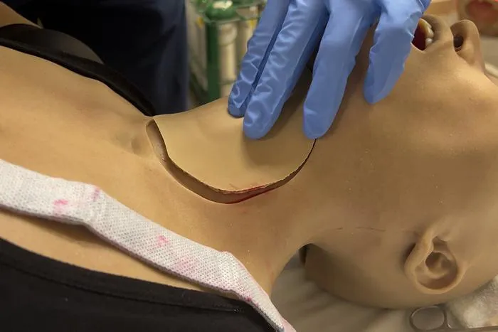 3D-printed tissue