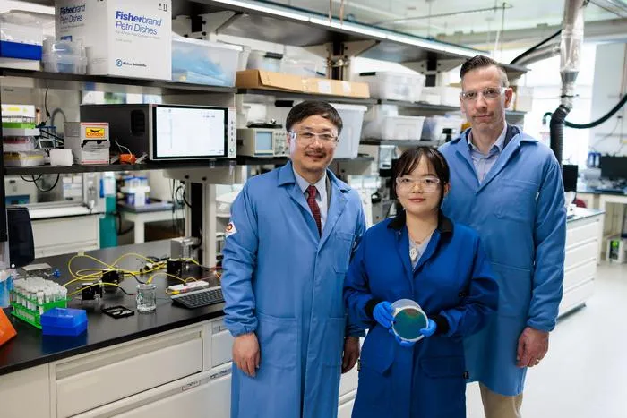 Tiny sensors rapidly detect “forever chemicals” in water