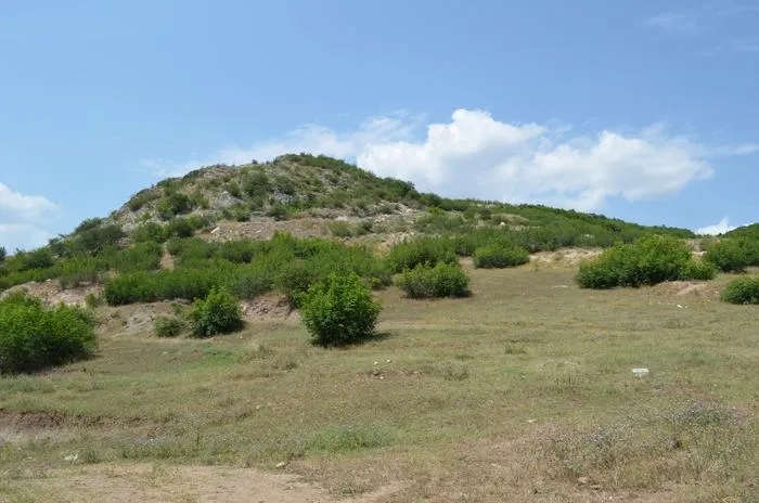 Image of the study site