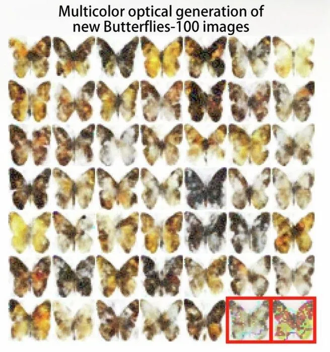Butterflies