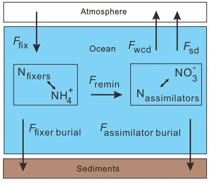Simplified nitrogen cycle box model