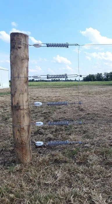 Wolf-repelling fence for fields where cattle graze: an electric fence with five sturdy strands of wire is the design used here to prevent wolves from getting into the pastures.