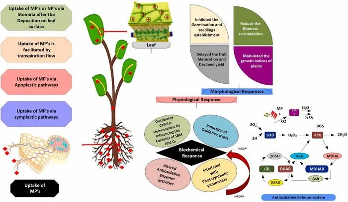 Exposure pathways