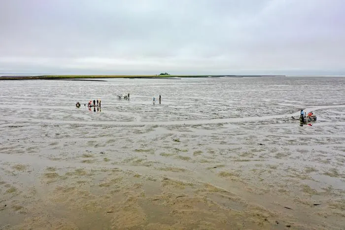 Examining the remains of the former church of Rungholt in the tidal flats off Hallig Südfall