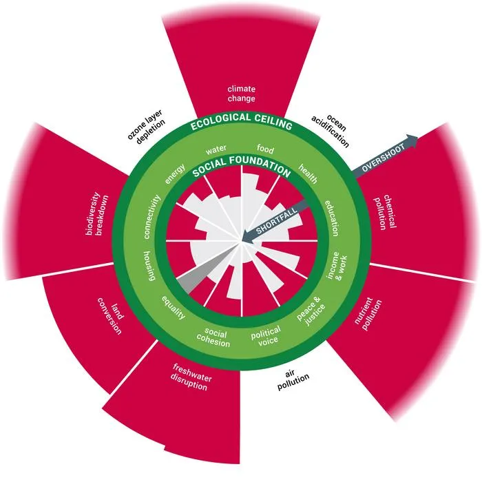 Global social shortfall and ecological overshoot
