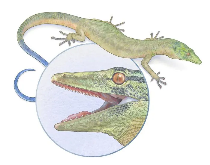 Breugnathair reconstruction