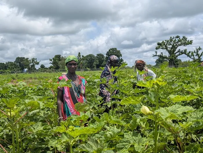Africa, climate, and foot