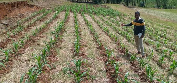 In Ethiopia, understanding soil is key to climate adaptation