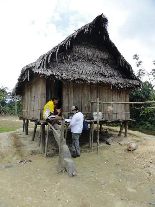 Matses house