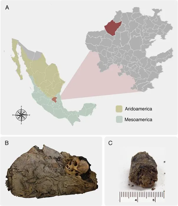 Microbiome characterization of a pre-Hispanic man from Zimapán, Mexico: Insights into ancient gut microbial communities