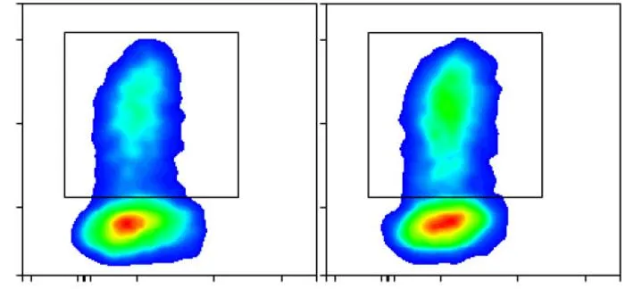 Representative flow cytometry plots of differentiated human Th9 cells: YTHDF2⁺/⁺ (left) and YTHDF2⁻/⁻ (right)