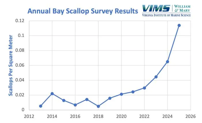 Virginia Bay Scallop Survey Results