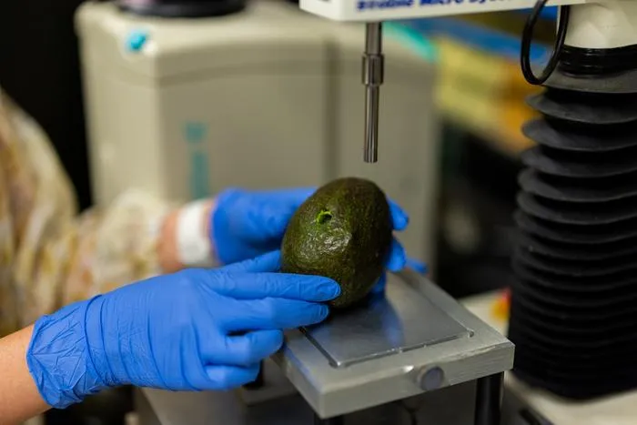 Avocado pressure test