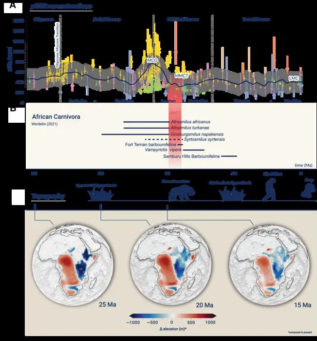 Timeline of atmospheric CO₂ evolution