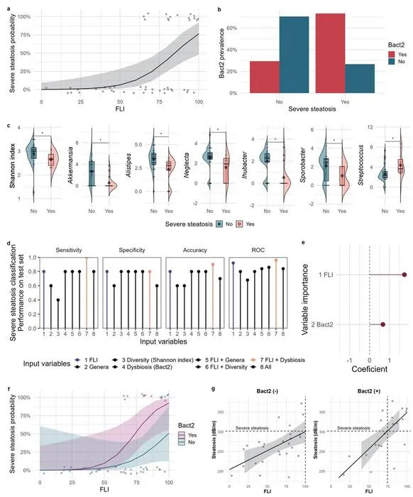 Performance of Fatty Liver Index (FLI) and microbiota profiling in classifying severe steatosis (≥302 dB/m) among patients with measured steatosis severity (n=49).