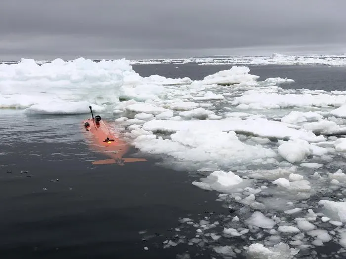 AUV Ran