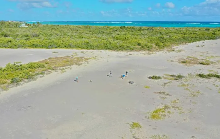 Anegada drone photo