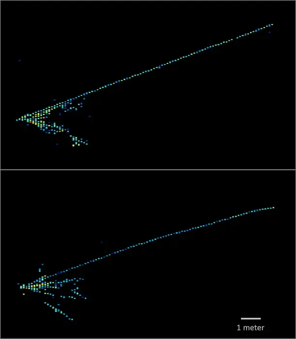 Neutrino detection