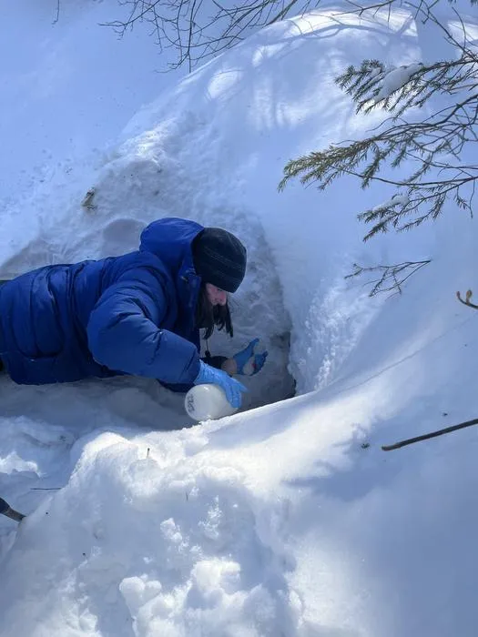 Cary Institute researcher Tammy Wooster sampling a study stream in the winter.