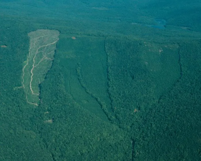 Aerial view of the study watersheds shortly after Watershed 5 (left) was clear-cut in 1983-1984