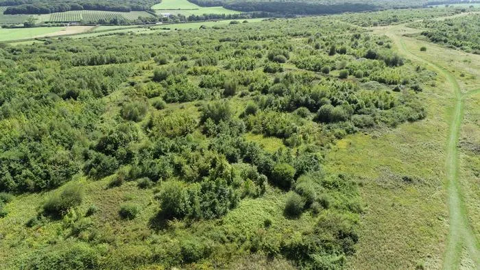 WoodlandCreationHybridAerial
