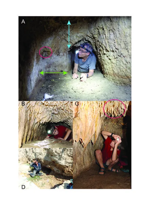 Tunnels C and D