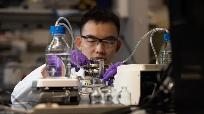Researcher testing hydrogen electrolysis