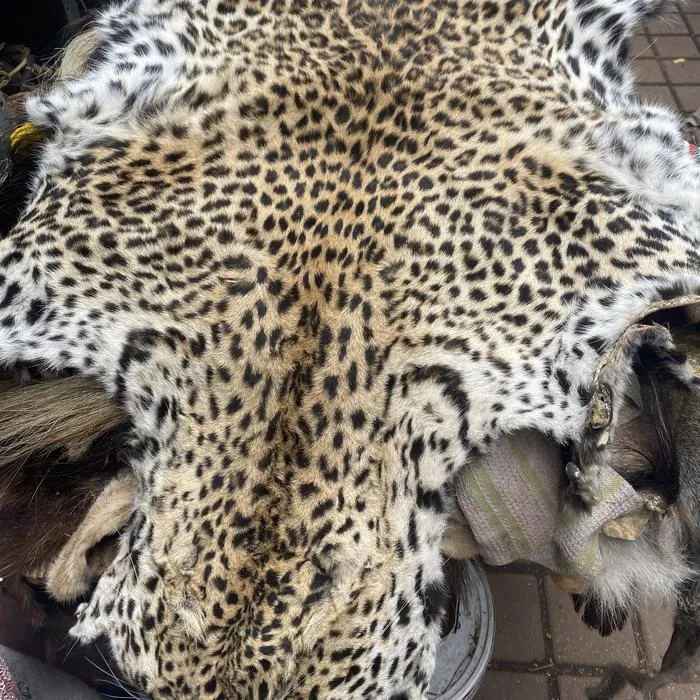Leopard skin