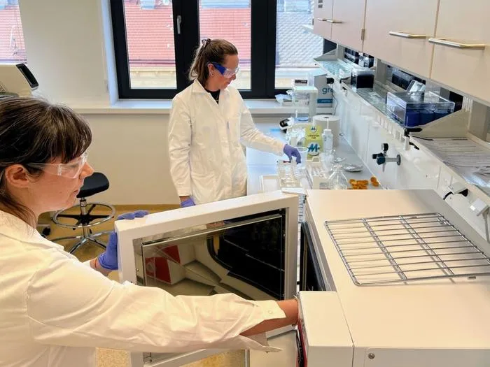 Fig. 1: Emily. M. Pigott and Maddalena Gianni undergoing radiocarbon pre-treatment method in the Higham Lab at the University of Vienna.