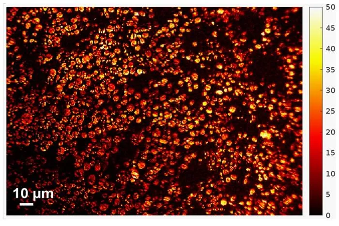 Brightness data in a coin cell battery