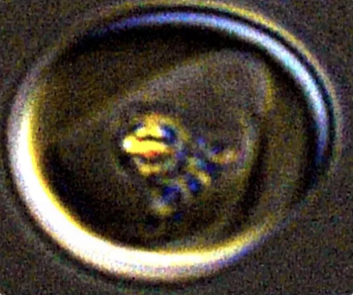 Malaria crystal still