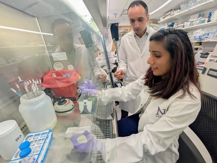 Study authors Abdel-Mohsen and Pratima Saini in Abdel-Mohsen's lab