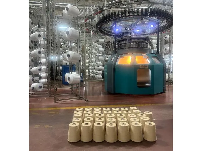 fermented fibers