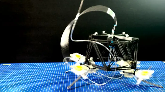 Hopping robot