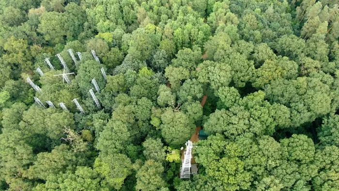Forest CO2 research