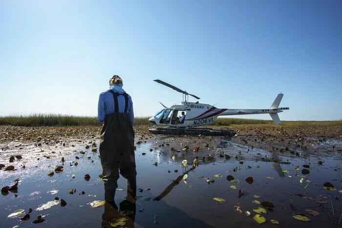 Florida Everglades