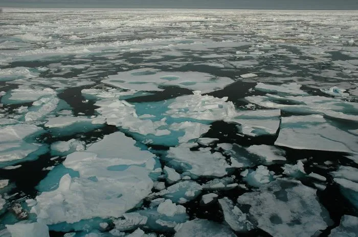 Arctic sea ice