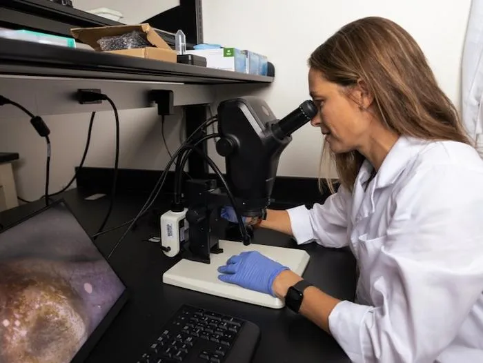 Molly Albecker, tadpole microscope