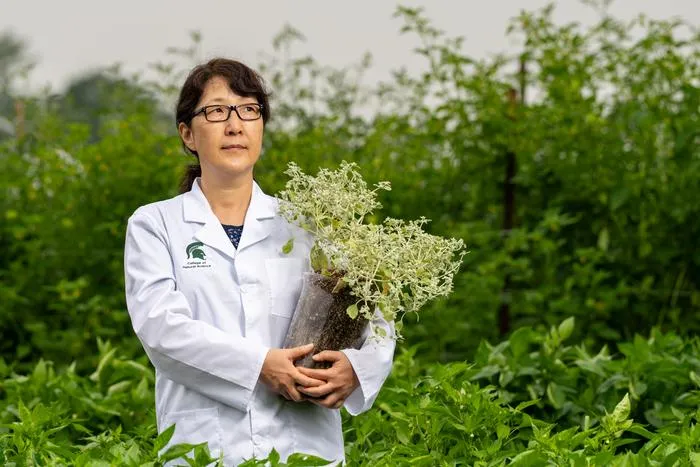 Sue Rhee portrait