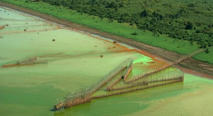 Fishing traps