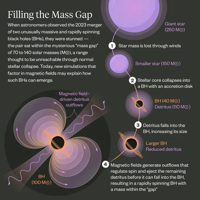 Infographic
