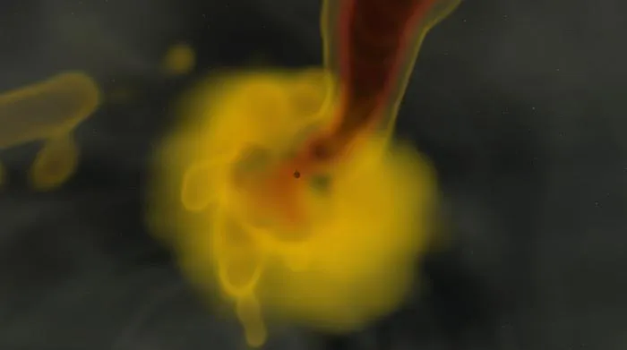 Simulation Still Image