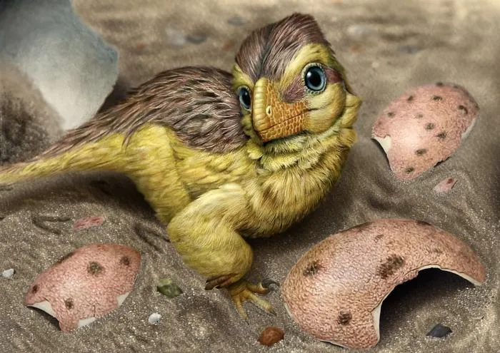Artistic reconstruction of a newly hatched troodontid-like dinosaur