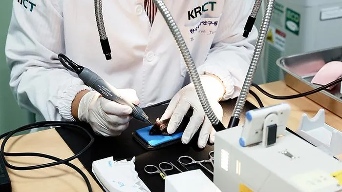 Researchers are implanting nanoparticle–stem cell hybrids into mouse calvarial defected region to evaluate bone regeneration.