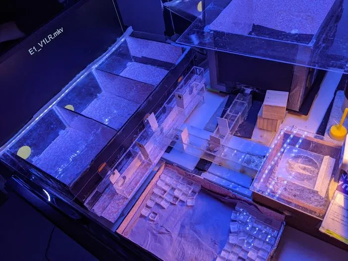 Apparatus used in the experiment