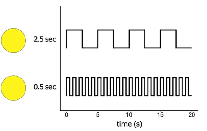 Stimuli - long and short flashes